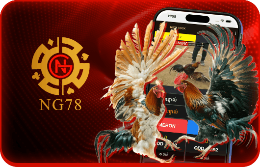 Ng78 cock fighitng